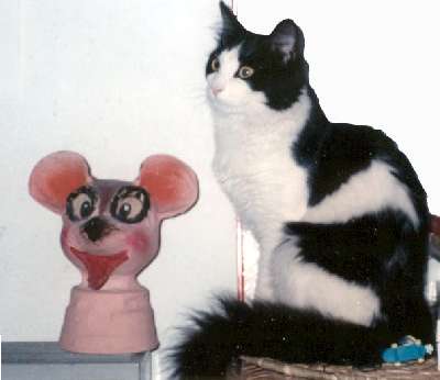 Elle croit que j'ai pas vu que la souris est en carton !!!