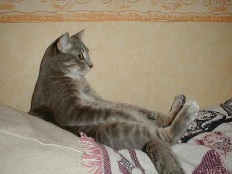 Un peu de repos a fait du bien...