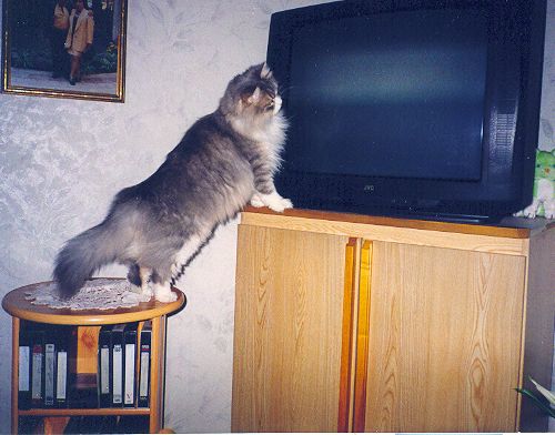 Alors a dmarre ces programmes !!! J'attends moi !!!!