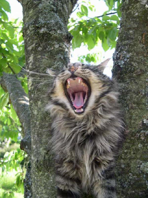 C'est quand qu'on se couche ? J'en peux plus moi !