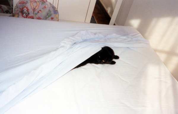 C'est puisant, un peu de repos !!!!!!!