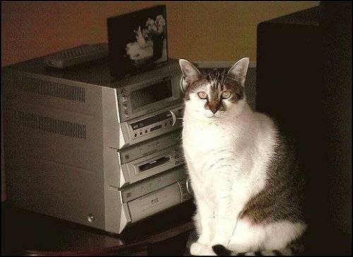 Y-a-t-il quelqu'un pour changer le CD... S.V.P ?